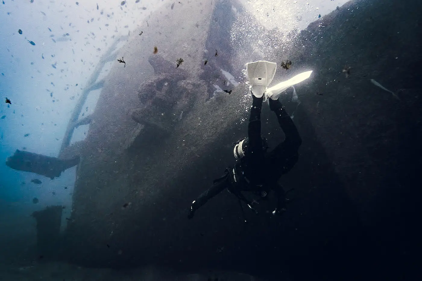 Buceador explorando el fondo marino