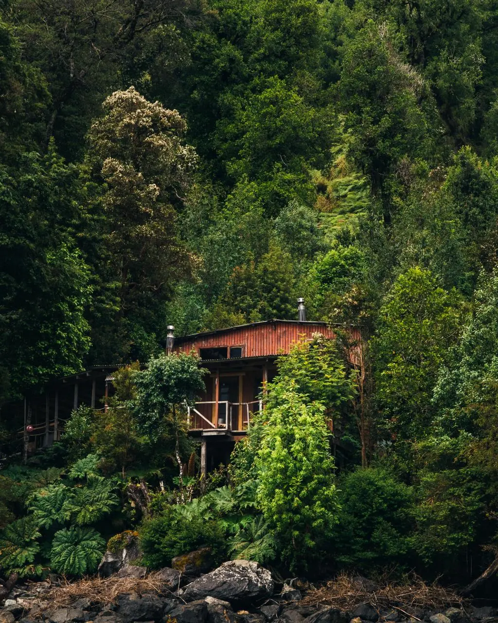 Cabaña en medio de un bosque patagónico
